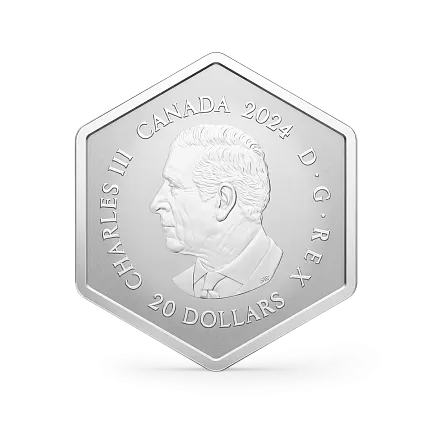 Монета "Снежинка", 2024 г., Серебро, 32,41 гр., проба 9999, КАНАДА