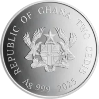 Монета «Год змеи», 2025 г., Серебро, 15,55 гр., проба 999, ГАНА